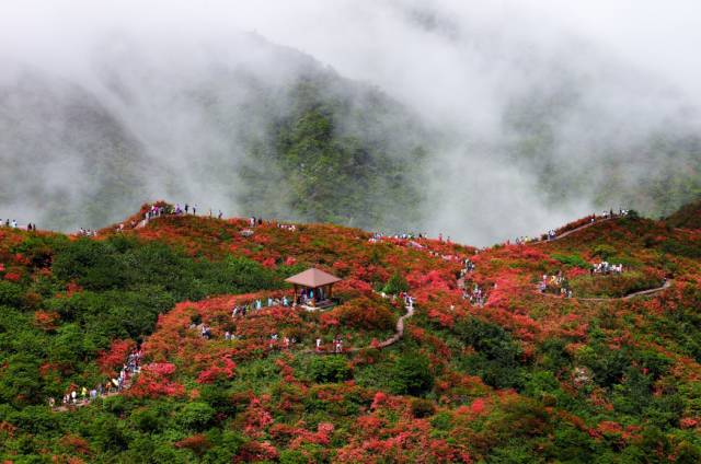 浏阳春季旅游攻略大全,浏阳旅游攻略景点必去三天