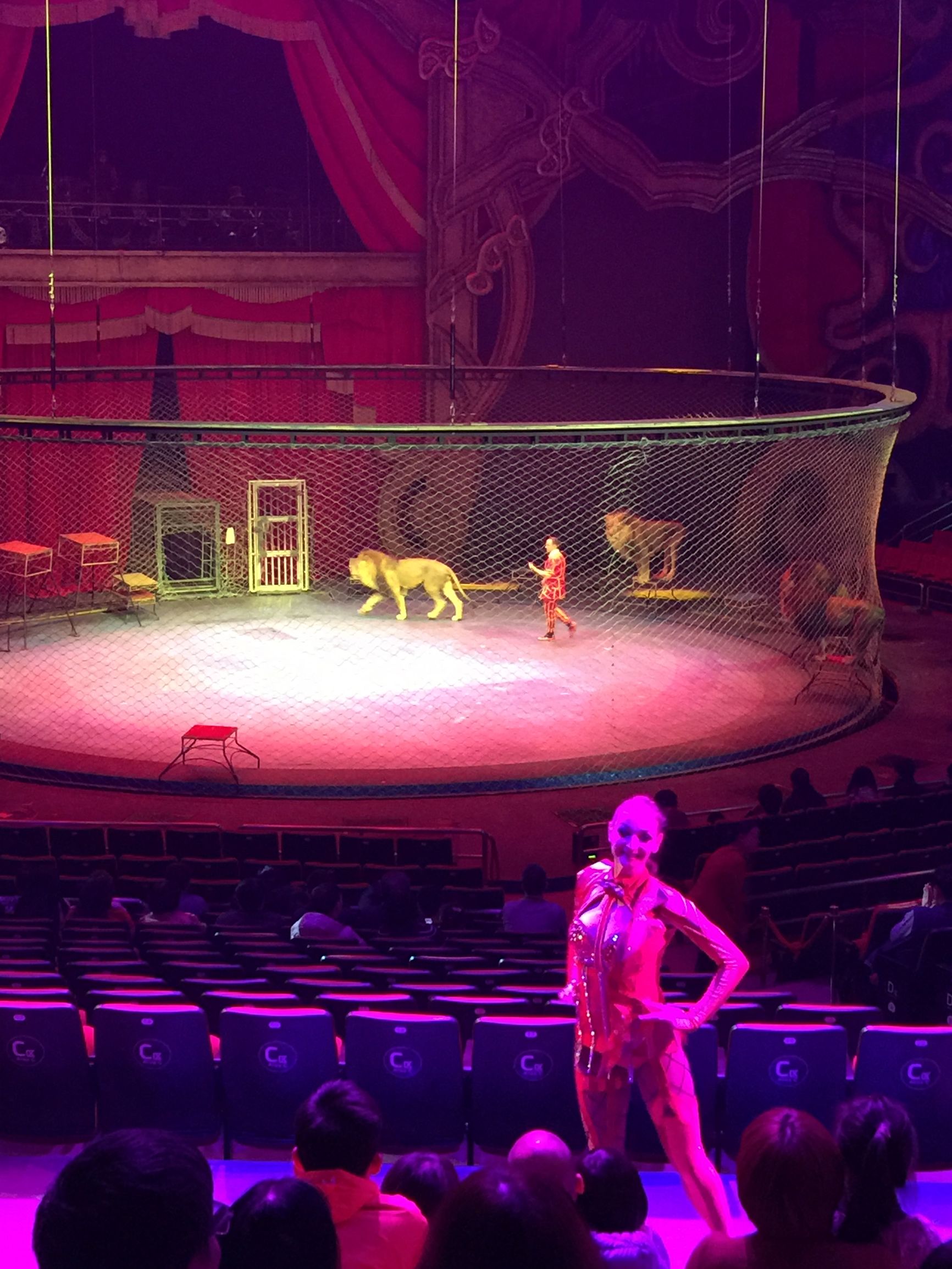 珠海长隆水上乐园亲子游攻略,珠海长隆企鹅酒店攻略亲子游