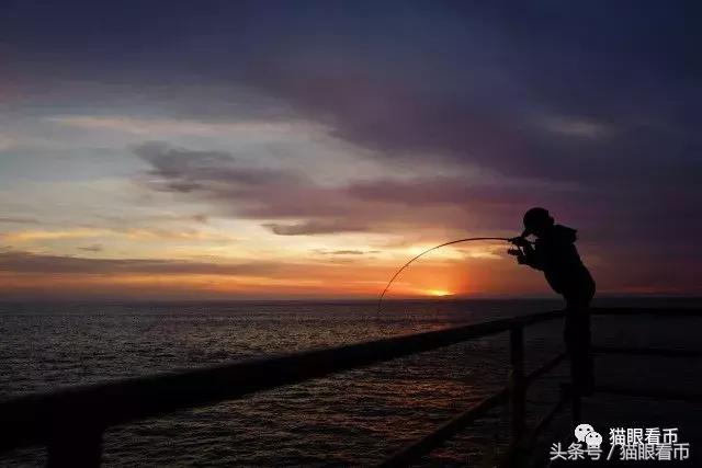 馥燃：纽约国际钱币展——钱币爱好者的顶级盛会
