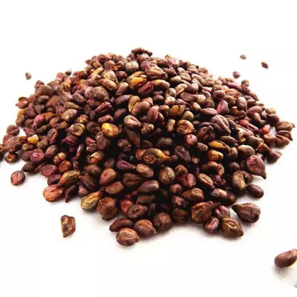 swisse葡萄籽精华抗衰老效果好吗,长期吃葡萄籽片真的可以抗衰老吗