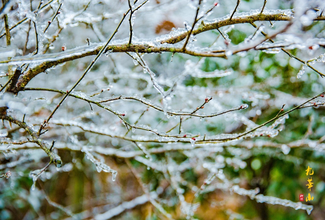 登九华山要多少时间,登九华山多少台阶