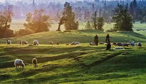 必看bbc10部地理纪录片,bbc十部顶级纪录片