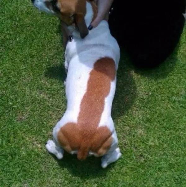 思想龌龊的人看什么都是脏的,思想脏的人看什么都脏