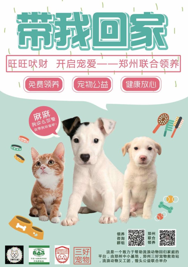 家有一群小精灵,有一群小精灵