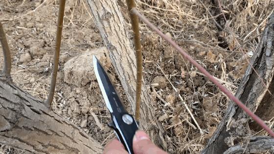 外形优雅的折叠小宝剑，STEDEMON时代C05双刃*刀折**试玩