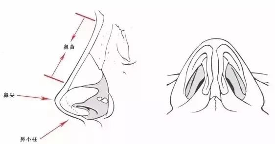 「爱美」双眼之间“一片荒芜”，鼻子一塌毁所有啊！