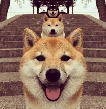 银行卡被盗刷按什么罪名立案,银行卡被盗刷三步追回的详细流程