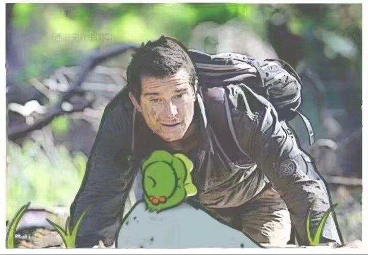 小青蛙去旅游,小青蛙旅行去哪里