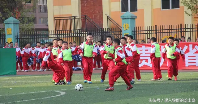 国家针对体育的重视文案,国家重视体育文案