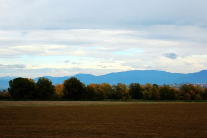 我眼中的俄罗斯文化,我眼中的华夏文化