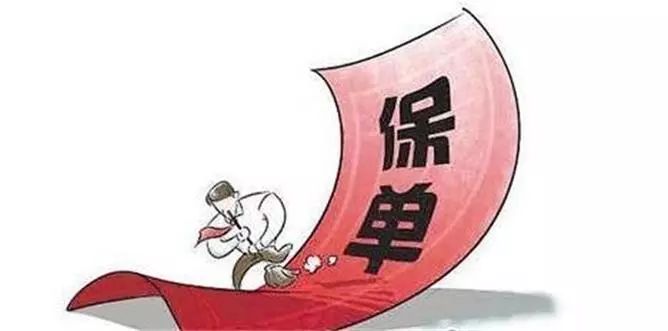 怎么看懂保险合同险种,如何看懂保险合同五要素