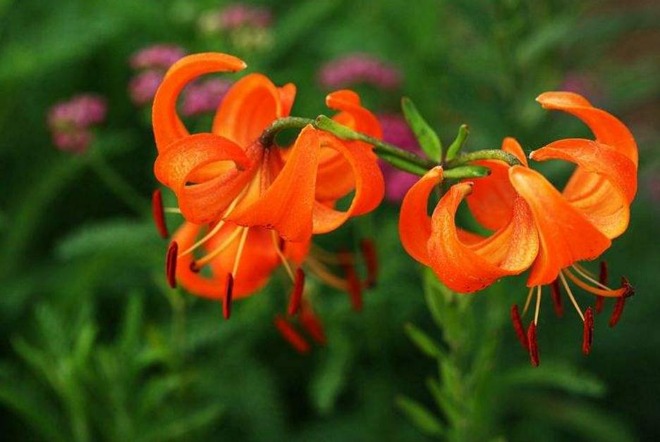 面对看不起自己的人怎么做,面对看不得别人好的人怎么办