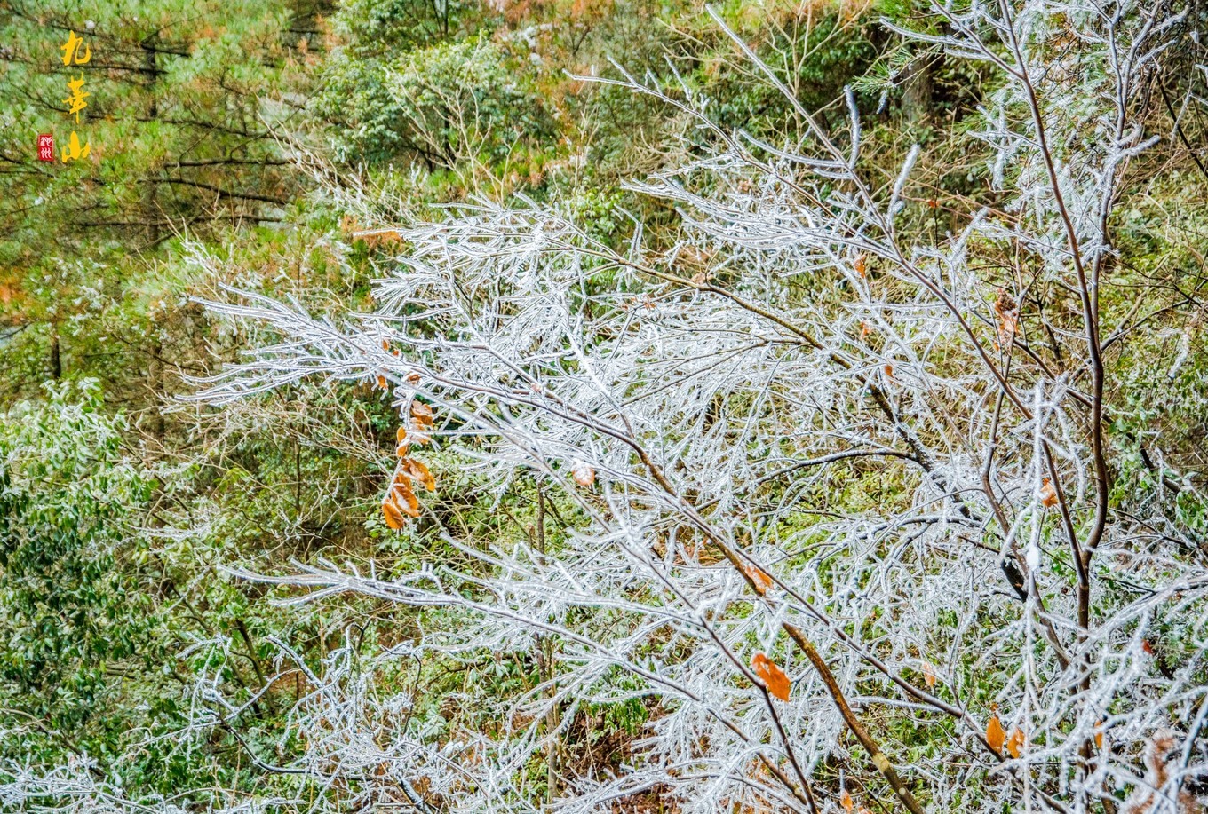 登九华山要多少时间,登九华山多少台阶