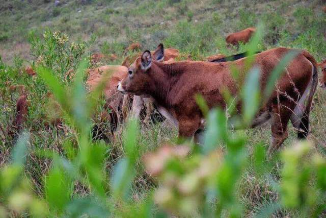 贵阳世纪金源小时光美食,贵阳世纪金源美食推荐
