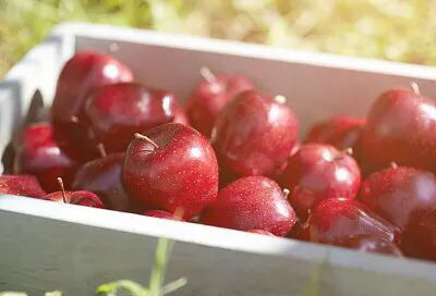 孩子几天不排便需要干预,儿童三四天不大便吃什么好