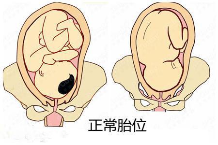 怀孕篇丨孕晚期做好生产准备，掌握分娩知识，安心等待宝宝降生