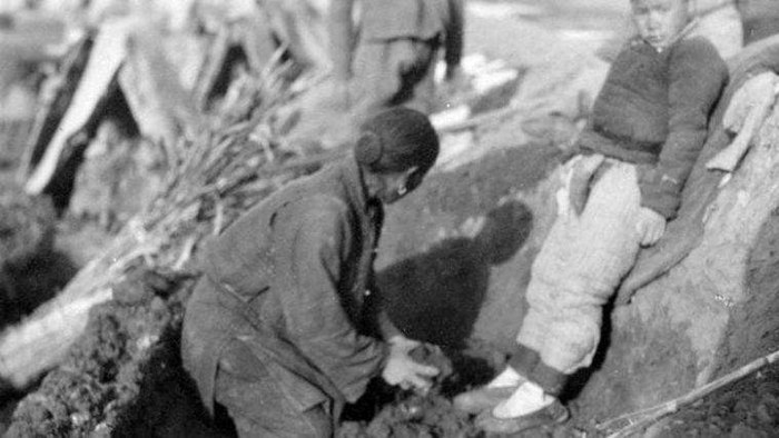 忆父亲说明了什么,忆父亲平凡荣耀的一生