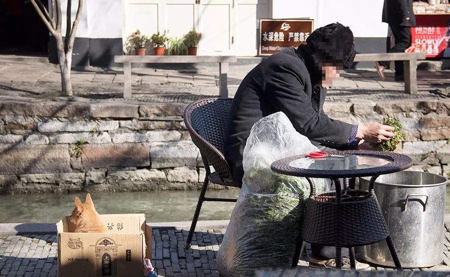 朱家尖吃喝玩乐攻略,去朱家角点什么好吃