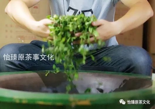 绿茶杀青小技巧,绿茶是怎样杀青