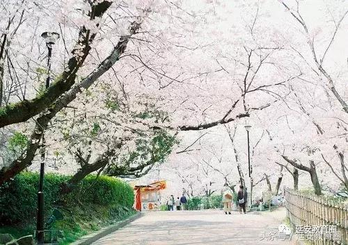 「美文」李小侠·站在岁月的交点上