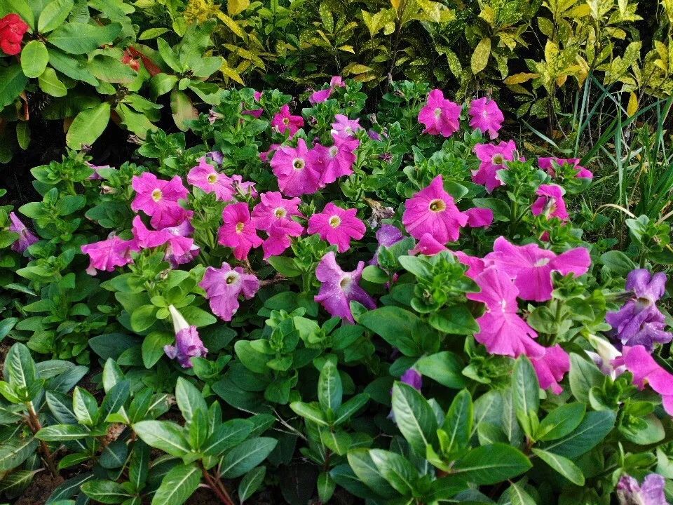 大疆MavicAir全球首发评测：可能是性价比最高的无人机