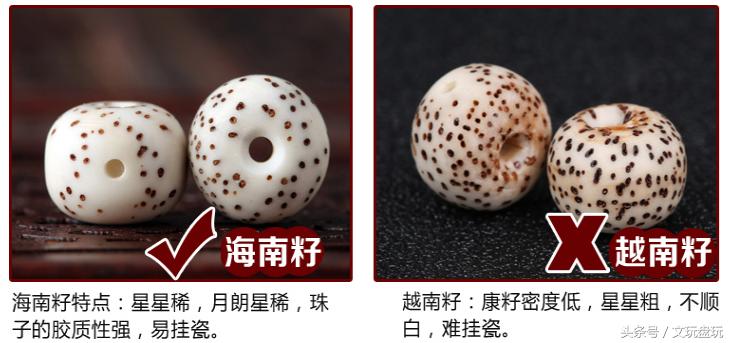 星月菩提真假对照表,各种星月真实图片