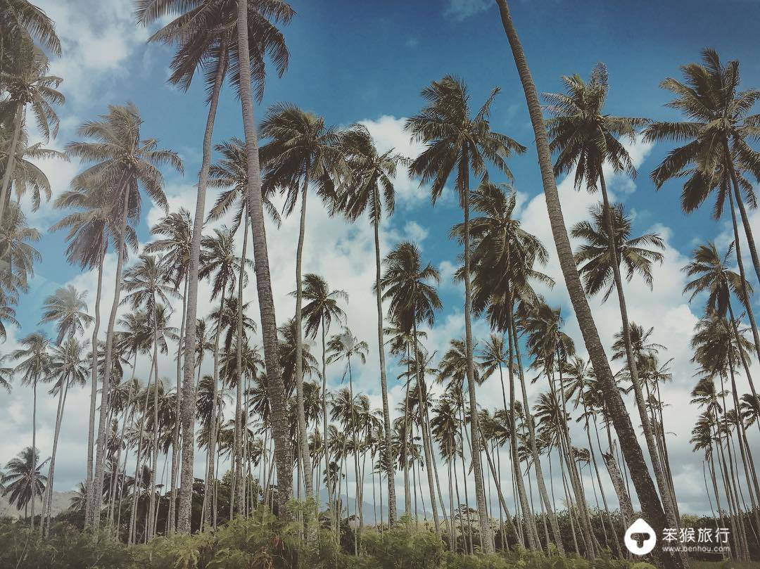 我错过的这座花园岛屿，却是美国人的最爱，连扎克伯格也飞来买地