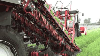 胡萝卜不能榨汁吗,胡萝卜不能放醋吗