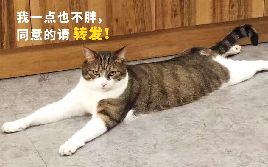 朱家尖吃喝玩乐攻略,去朱家角点什么好吃