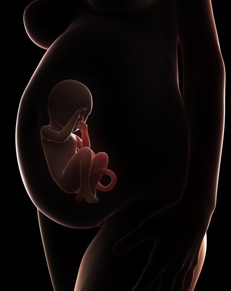 生男生女可以人为干预吗,生男生女真的能掌控吗