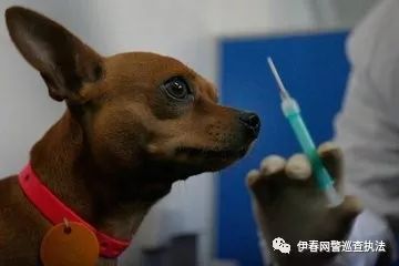 网警辟谣通报,2019年网警辟谣