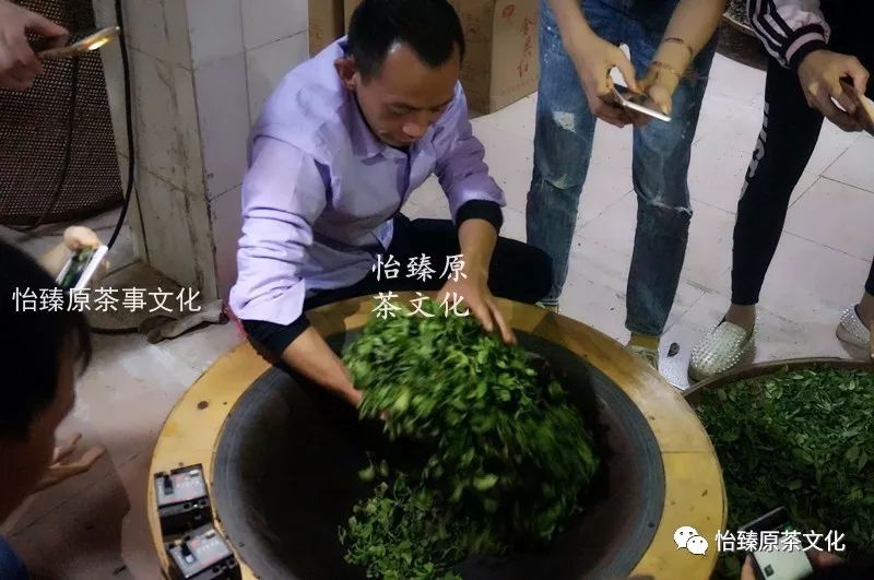 绿茶杀青小技巧,绿茶是怎样杀青