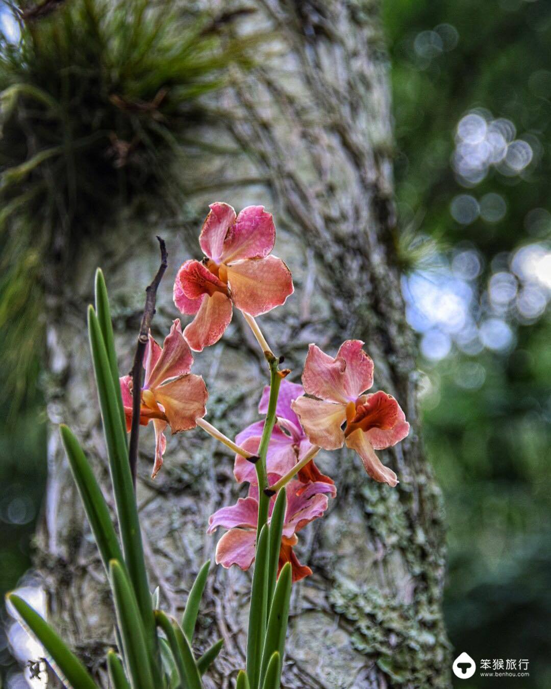 我错过的这座花园岛屿，却是美国人的最爱，连扎克伯格也飞来买地