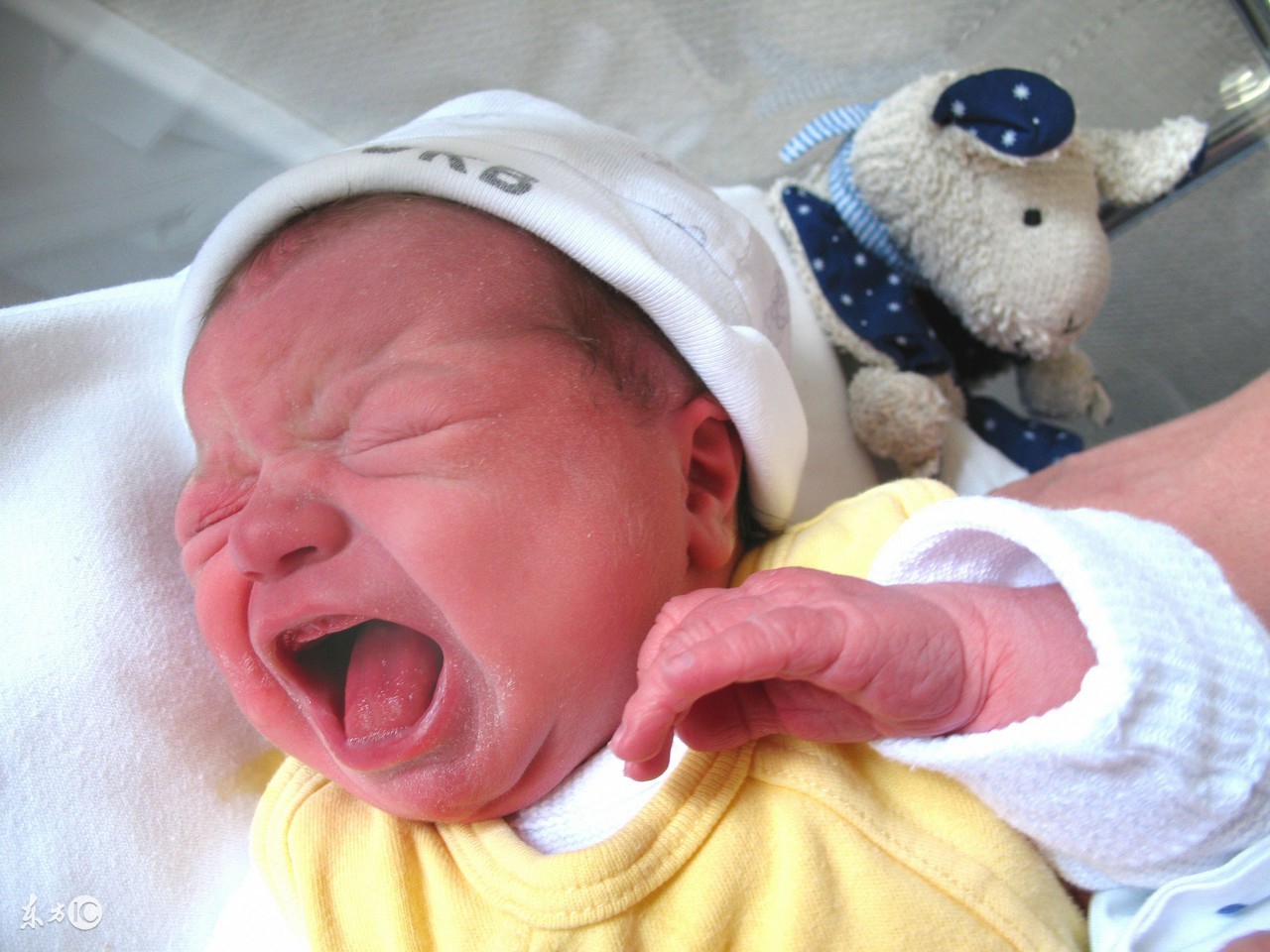 宝宝红屁股怎么处理的,宝宝红屁股反反复复怎么办