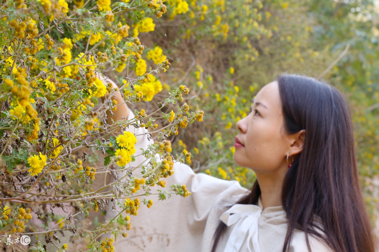 炒股避坑秘籍,炒股入过的坑