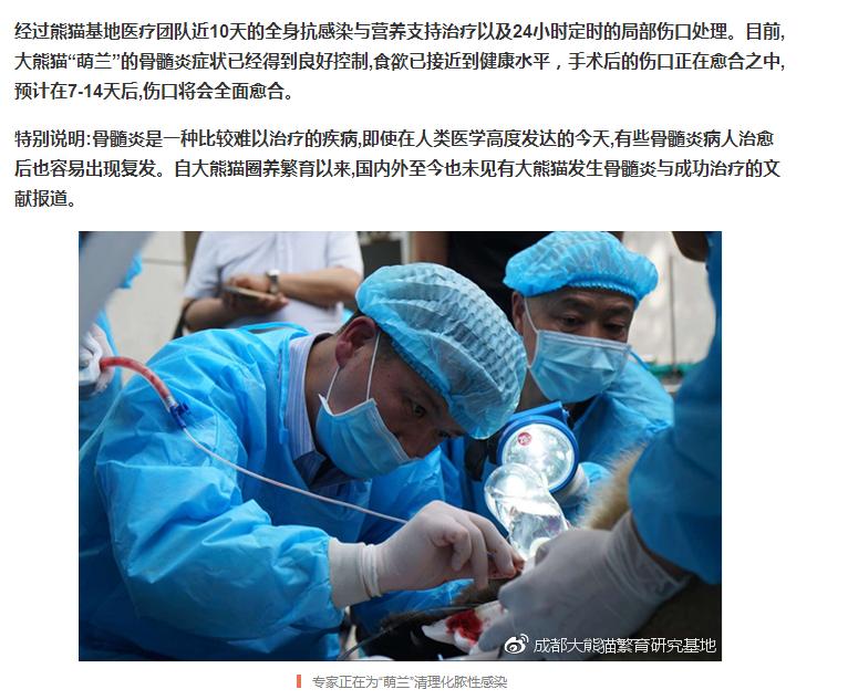 成都大熊猫基地近期新闻,成都大熊猫基地实时报道
