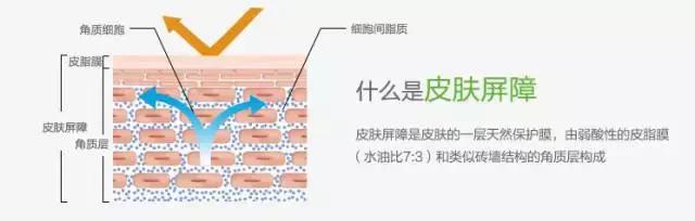 敏感肌冬季护理小常识,敏感肌的春季防敏攻略来咯
