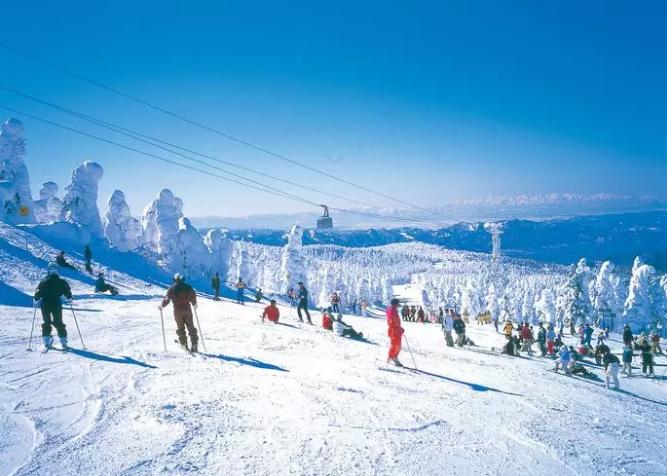周末滑雪怎么去,周末去雪野湖哪个位置好玩