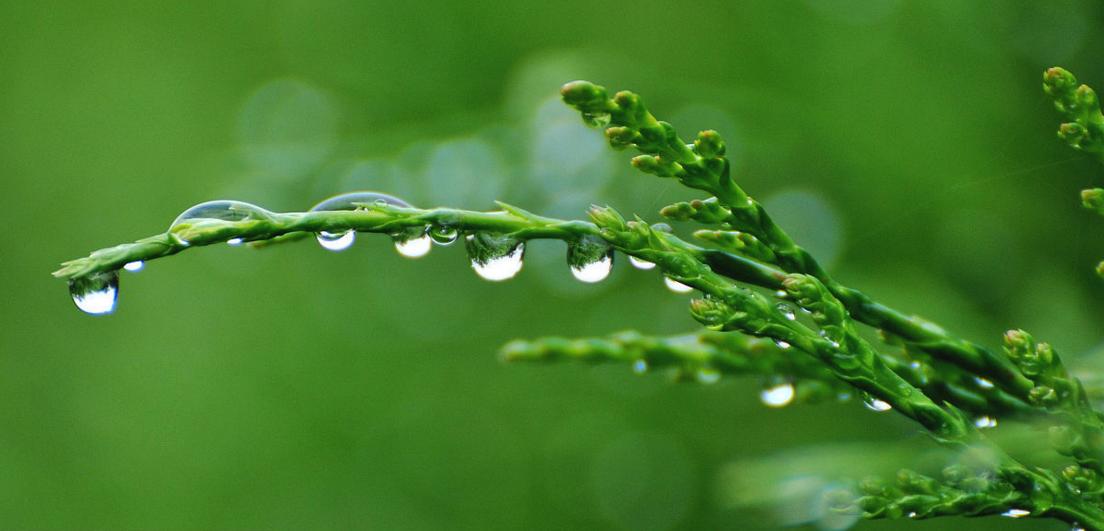 顾城的门前读诗,顾城的经典诗句感悟