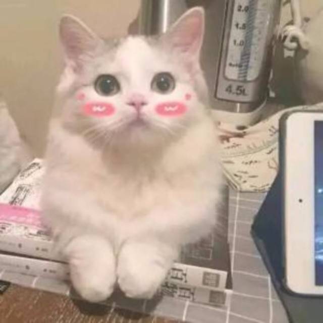 怎么成为漫展里的人物,如何成为漫展的一员