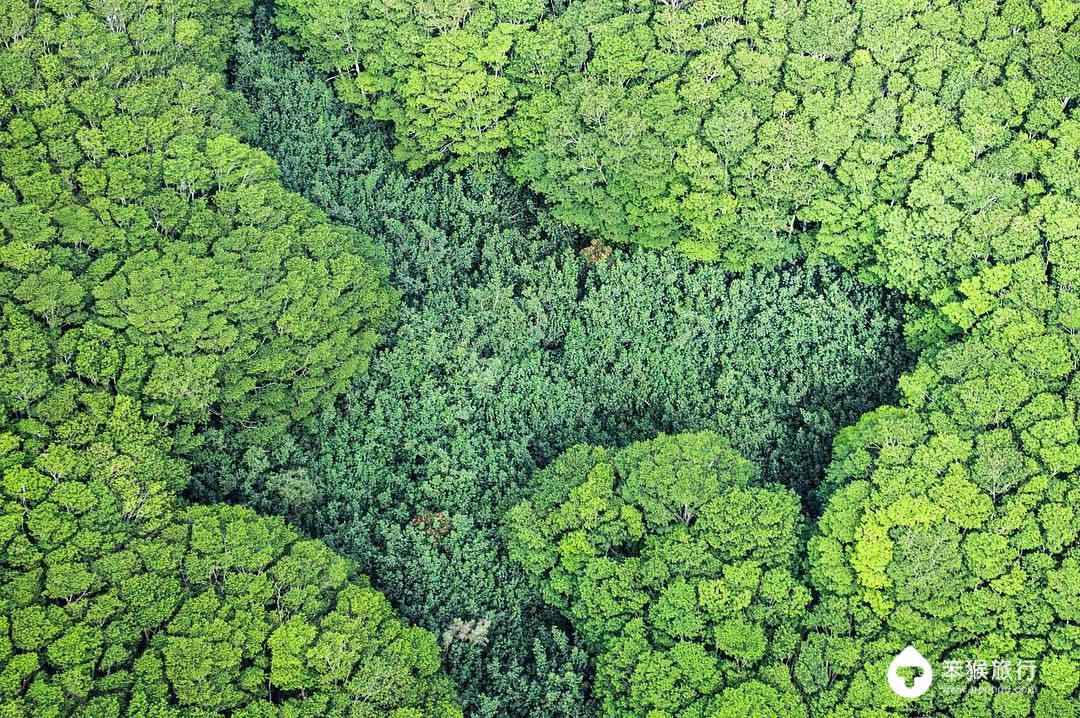 我错过的这座花园岛屿，却是美国人的最爱，连扎克伯格也飞来买地