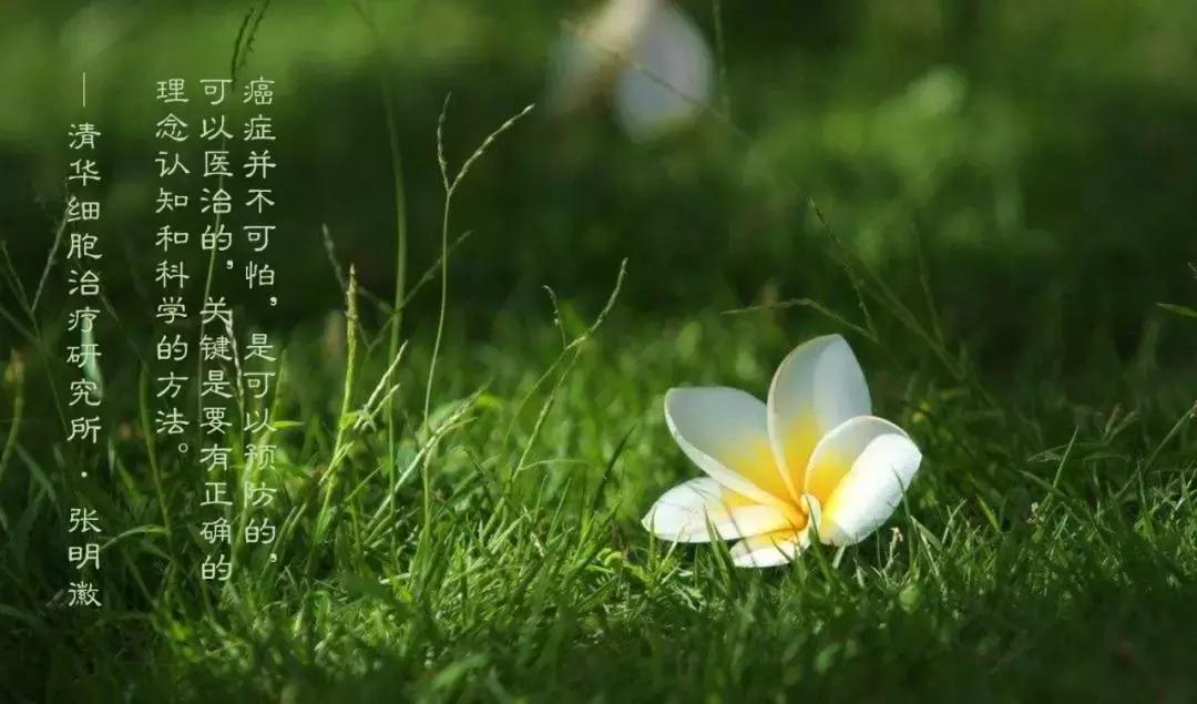 肺腺癌晚期nkt细胞免疫治疗价格,肺癌晚期nk细胞疗法