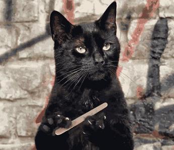 男人一身标配多少钱,男生一身打扮多少钱