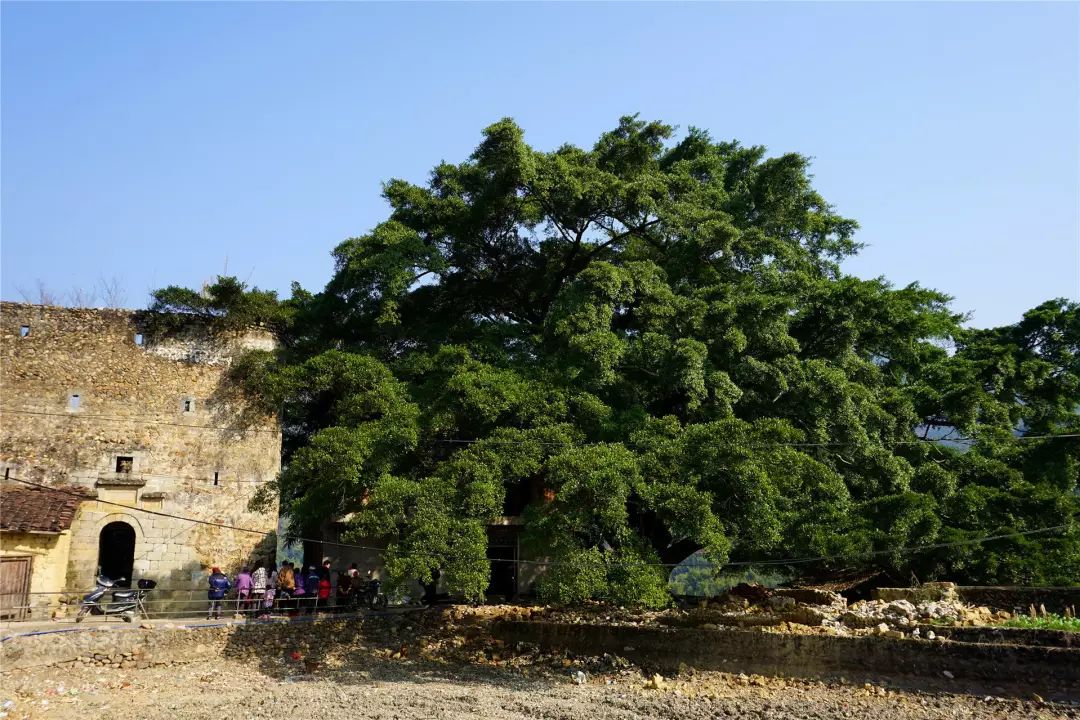 福利丨粤北越北，风景更美，邀你到丹霞灵溪过个红红火火东北年