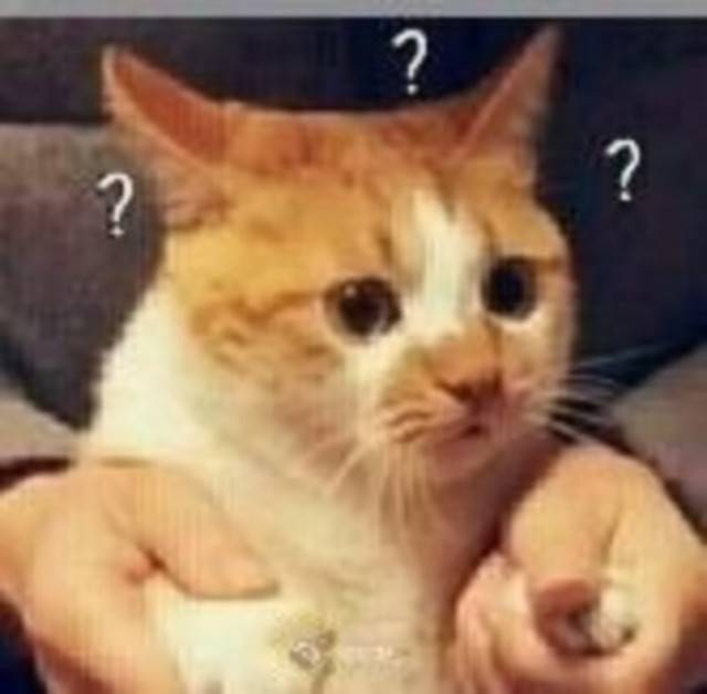 怎么成为漫展里的人物,如何成为漫展的一员