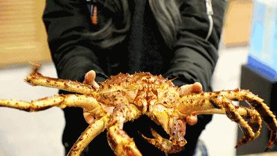 宇宙最红“地球港”空降北京！8国牛肉，逛吃7天不重样！