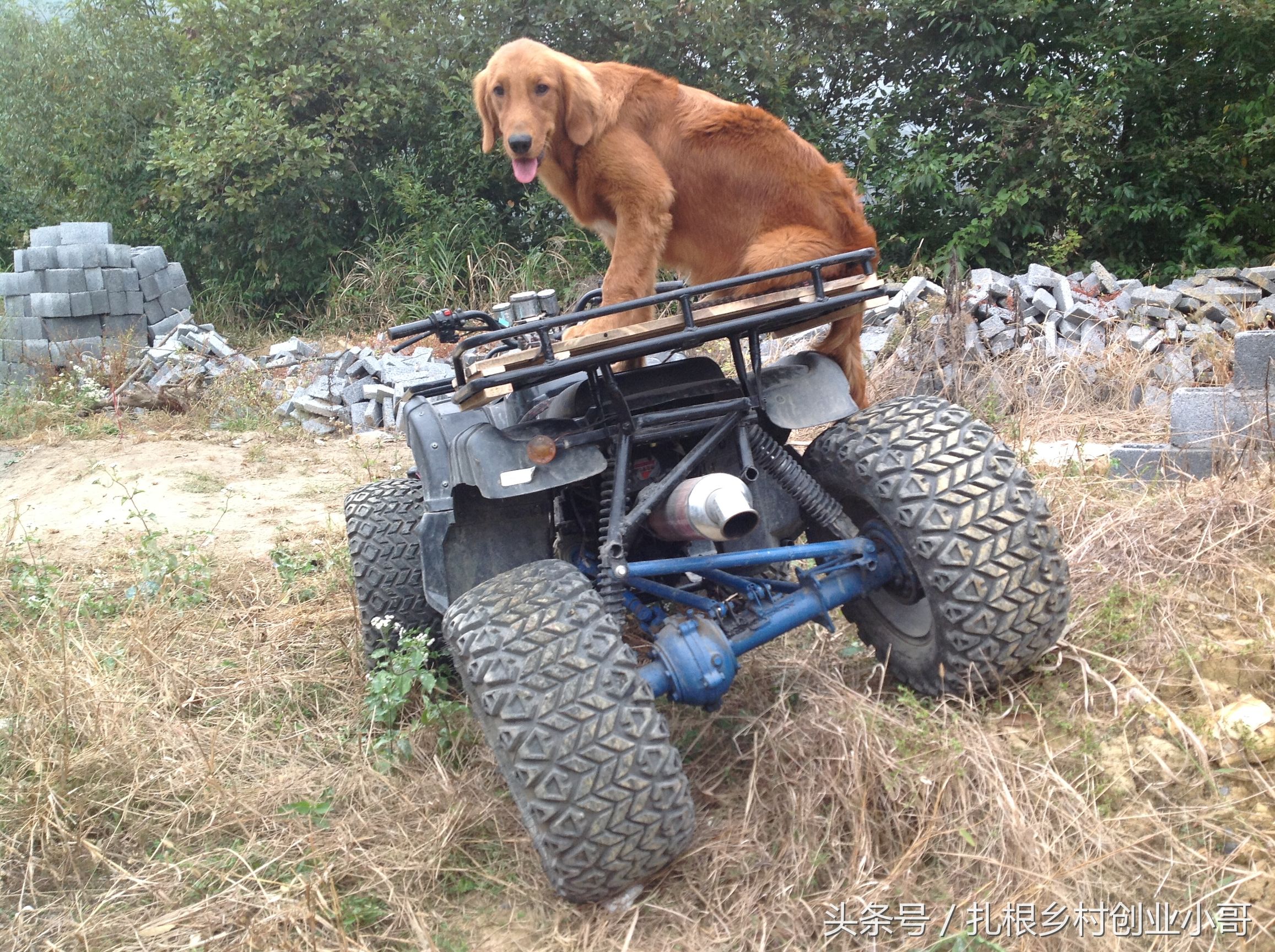 自改沙滩车教程,沙滩车改旋耕轮