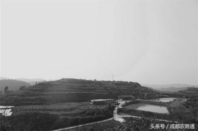 苦守荒山数十载，宝剑锋从磨砺出！