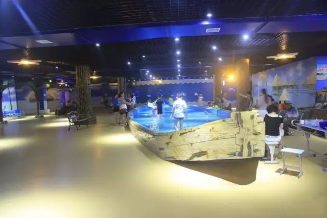 水母珊瑚海洋馆,海豚水母珊瑚篇