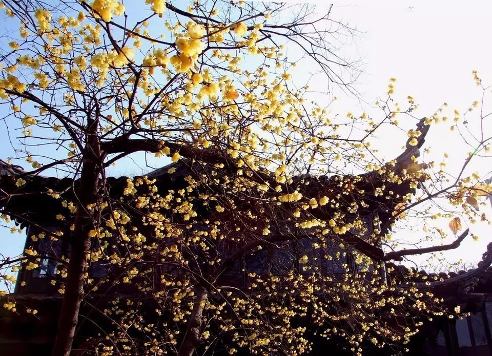 郑州冬天带小孩适合去哪里玩,郑州冬天到内蒙自驾游最佳路线